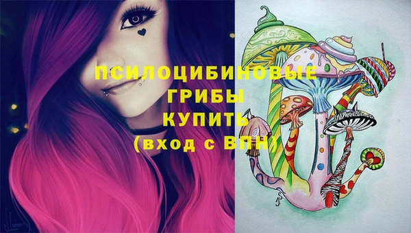 spice Армянск