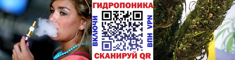 Конопля Amnesia  blacksprut вход  Новая Ляля  где купить наркоту 